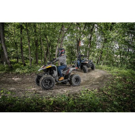 Polaris Phoenix 200 - Avalanche Grey